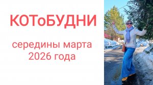 Деревенский Релакс или КОТоБУДНИ середины марта 2026 г.