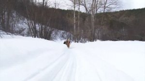 КаповаТур, зима, зима, зима