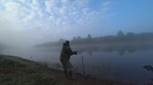 УШЁЛ В ТАЙГУ, ЗА ЕДОЙ ДЛЯ ВСЕЙ СЕМЬИ! ЗАКИНУЛ НА ДУРАКА И ЕСТЬ \ ГРИБЫ НА БЕРЕГУ РЕКИ, ОДИН НА РЕКЕ!
