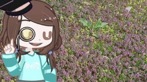 Разоблачение Дарины(ДуБиНы) часть 1.