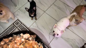 Пора и делами заняться, а именно плотно перекусить.