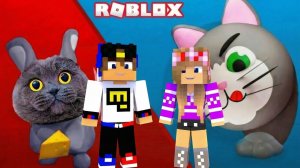 МОЙ ДРОН снял КОШКИ МЫШКИ в МАЙНКРАФТ НУБ И ПРО ЭВОЛЮЦИЯ ВИДЕО MINECRAFT Евгенбро