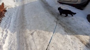 Маленько погуляли.