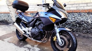 Honda CBF 600 2004 Серый