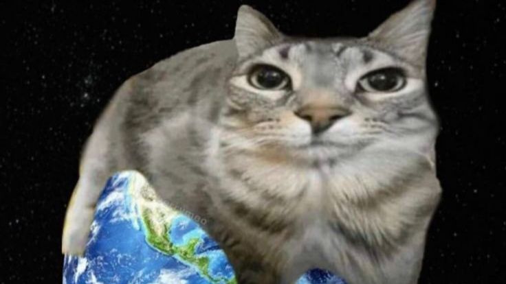 Подскажите что снимать