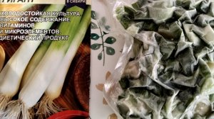 Всходы лука-порея, почему он нам нравится