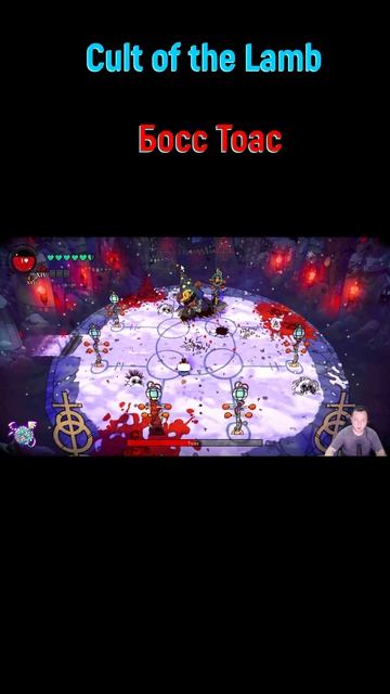 Cult of the Lamb Тоас #shorts #cultofthelamb #cultofthelambgame #cultofthelambпрохождение #боссфайт