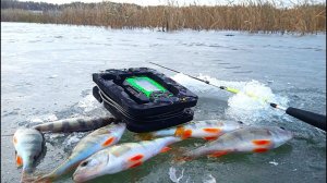 Самая Лучшая Рыбалка 2026. Работают Профессионалы. Камеры, Эхолот, Оборудование. Ловим Много Рыбы