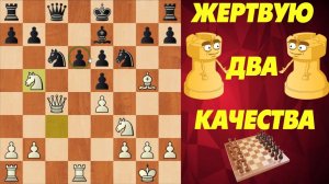 ШАХМАТЫ БЛИЦ. МОЩНЫЙ ГАМБИТ МОРРА. ЖЕРТВУЮ ДВА КАЧЕСТВА