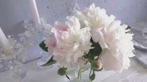 ВЛОГ 🧡 5 серия ВСКРЫЛА ПОЛ и нашла двадцать заброшенных гнёзд! Столько мусора ещё не выносила...