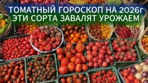 Помидорный гороскоп на 2026 - какие сорта томатов точно завялят урожаем!