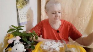 22-03-2026 #mukbangtatyanaeats #еда #шарлотка коронная 🥮👌💥😋🤤