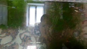 Аквариум.😊