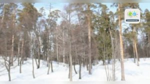 "Зимний сад", Алексей Глызин