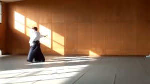 Айкидо Хомбу Додзё Yasuno-Shihan (8 дан Айкидо Айкикай). 14/12/2014