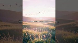 Солнечные сердца.