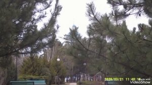 Мариуполь 🏙️ сегодня 🐕☁️