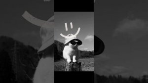 ВСО Я АДСКАЯ ТЕНЬ))