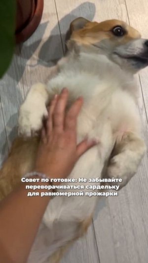 Так и запишем ✍️))