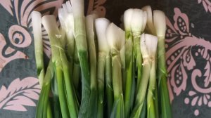 ПОСЛЕДНИЙ ЛУК