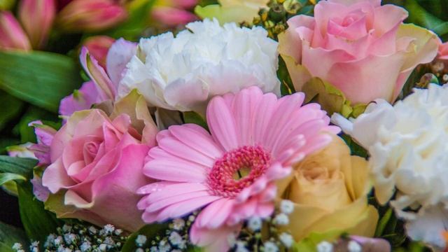 Сатсанг: Два способа пробуждениея. Роберт Адамс. Духовность практикуют.