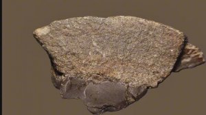 Metriks.Meteorite.Первомайский_L6, брекчия.5Din