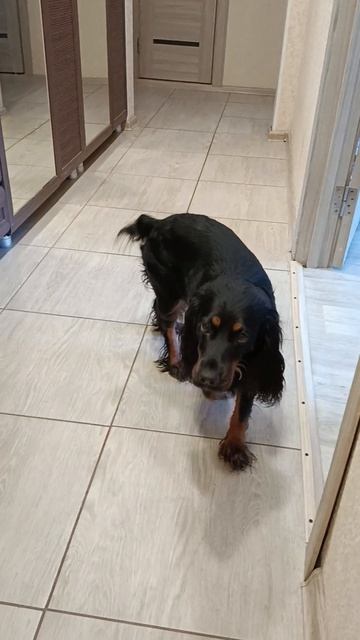 Красавица Лили