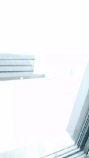 Мы идём гулять с собакой! | 21-мар-2026 3