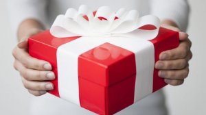 Стихотворение "Подарок" автор Селина С.