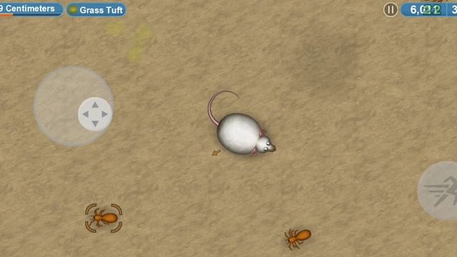 маленькая, мышка съела весь лагерь охотников Markus_2