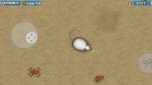 маленькая, мышка съела весь лагерь охотников Markus_2