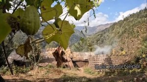 34.Органические непальские продукты питания в стиле сельского образа жизни Восточный сельский Непал