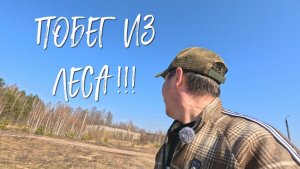 ПОБЕГ ИЗ ЛЕСА // ОБРЕЗКА СМОРОДИНЫ.