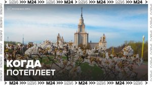 Синоптик рассказал о сроках наступления весенней погоды в Москве - Москва 24