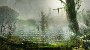 Болото ⯈ The First Templar #12