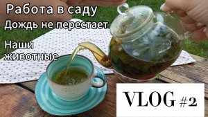 МОЛОДАЯ СЕМЬЯ ИЗ СИБИРИ КУПИЛА ДОМ В ЧАСТНОМ СЕКТОРЕ