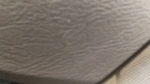 Руль грызун чето