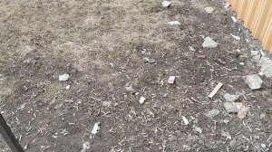 Снимаю с любовью к своему зрителю.Ни каких разборок!Жизнь старухи-кошатницы и её компании.