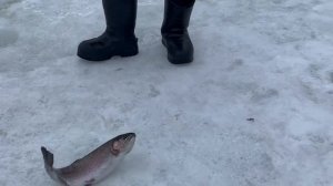 21.03.26 г. РК Волна.