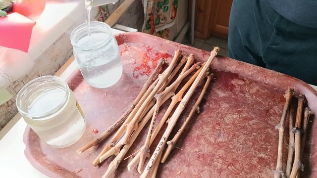 Запуск кильчеватора 21.03.2026 года