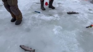 21.03.26 г. РК Волна.