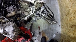 Аодес 1000 WT День шестой .