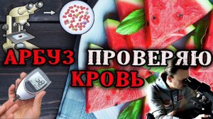 Арбуз 🍉 Проверяю кровь с помощью глюкометра и микроскопа.