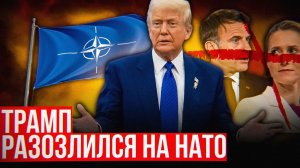 Почему никто НЕ ПРИШЁЛ на помощь США