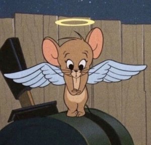 обзор на все подряд