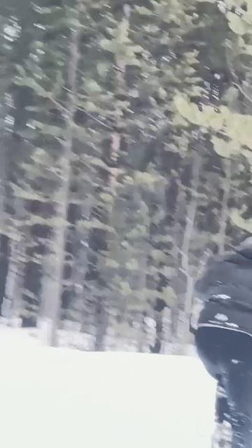 Мото Питбайк .