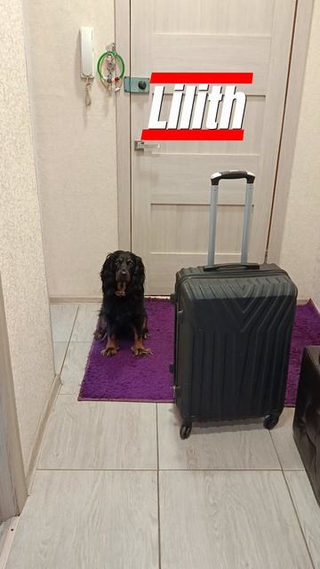 Лиля хочет в Ленинград