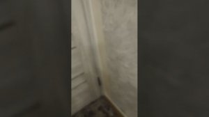 распоковка