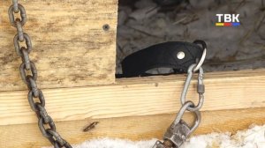 Попытка отравления, драка, похищение: соседская война в Лебедёвке