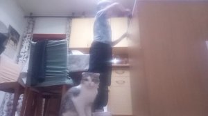 бизнес - это какой-то whiskas